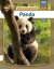 Panda - Engelsk - English Book