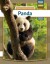 Panda - Litauisk - Lituensk Bog