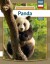 Panda - Polsk - Bog