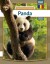 Panda - Rumænsk - Bog