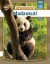 Panda - Somali - Bog