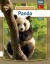 Panda - Tyrkisk - Tyrkisk Bog
