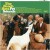 The Beach Boys - Pet Sounds - 50Th Anniversary Stereo Lp - Vinyl Lp