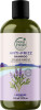 Petal Fresh - Pure Lavender Shampoo