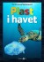 Plast I Havet - Bog