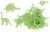 Dinoworld- Selvlysende Dinoer 24 Stk