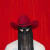 Orville Peck - Pony - CD