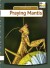 Praying Mantis - English Book