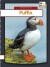 Puffin - English Book