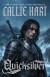Quicksilver - English Book