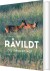 Råvildt Og Råvildtjagt - Bog