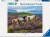 Ravensburger - Wild Horses - Heste Puslespil - 2000 Brikker