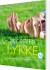 Recepten På Lykke 20 - Bog