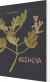 Refugia - English Book