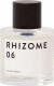 Rhizome - 06 Edp 100 Ml