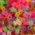 Rørperler - Str 5X5 Mm - Hulstr 2 5 Mm - Medium - Transperante Farver -