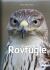 Rovfugle - Bog