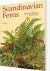 Scandinavian Ferns - English Book