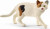 Schleich 13894 - Amerikansk Korthårskat - Farm World