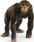 Schleich 14883 - Chimpanse Abe - Wild Life