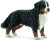 Schleich 16397 - Berner Sennen Hund - Hun - Farm World