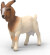 Schleich 14929 - Boer Ged - Farm World