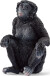 Schleich 14875 - Bonobo Abe - Hun - Wild Life