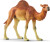 Schleich 14832 - Dromedar - Wild Life