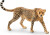 Schleich 14746 - Gepard Hun - Wild Life