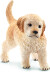 Schleich 16396 - Golden Retriever Hund - Hvalp - Farm World