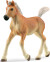 Schleich 13951 - Haflinger Hest - Føl - Horse Club