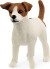 Schleich 13916 - Jack Russell Terrier Hund - Farm World