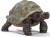 Schleich 14824 - Kæmpe Skildpadde - Wild Life