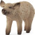Schleich 14893 - Mangalica Grisling - Farm World