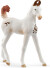 Schleich 14896 - Marwari Føl Hest - Horse Club