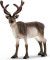 Schleich 14837 - Rensdyr - Wild Life