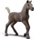 Schleich 81460 - Darcy Samlerføl Hest - Horse Club - Series 1