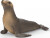 Schleich 14933 - Søløve - Wild Life