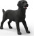 Schleich 14923 - Sort Labrador Retriever Hund - Hun - Farm World