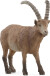 Schleich 14873 - Stenbuk - Wild Life