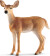 Schleich 14819 - Hvidhalet Hjort - Hun - Wild Life