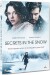 Secrets In The Snow - DVD