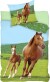 Brandmac - Hest Med Føl Sengetøj - 140X200 Cm - Voksen Str