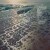 Fleet Foxes - Shore - Vinyl Lp