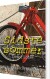 Sidste Sommer - Bog
