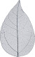 Skeletblade - L 6-8 Cm - Blå - 20 Stk