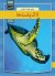 Skildpadder - Farsi - Bog