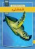 Skildpadder - Pashto - Bog