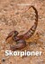Skorpioner - Bog