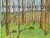 Skovens Vuggesang - Bog
